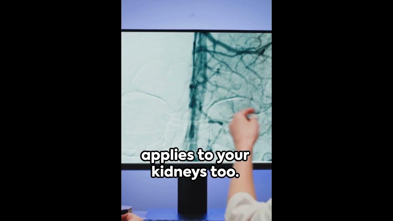 how-to-check-kidney-health-science-biology-chemistry-research