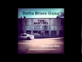 Delta Blues Gang - Walkin' Blues