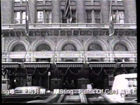 香港經典廣告1994寶麗金足金CD碟中尋大抽獎