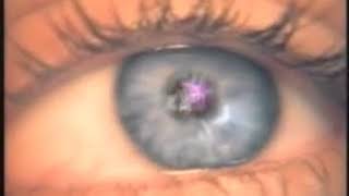 Mr Big Wild World Official Video 360P