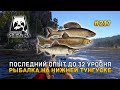 Последний опыт до 32 уровня. Рыбалка на Нижней Тунгуске - Русская Рыбалка 4 #217