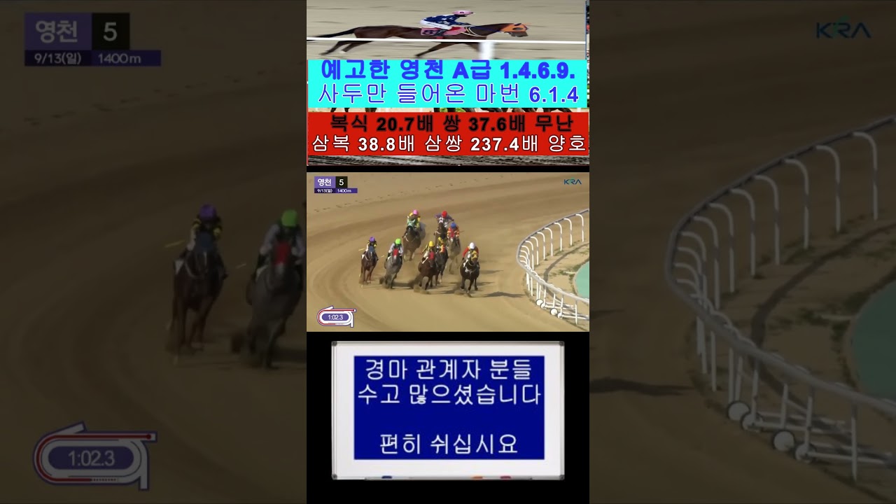 999 예고 A급 1.4.6.9.사두만 삼복 38.8배 삼쌍 237.4배 무난 했네요 ?