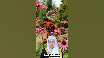 سورة الهمزة || تلاوة تفيض جمالا || أرح سمعك وقلبك ||علي اليوسف Ali Al-Youssefi Surah Al-Humazah