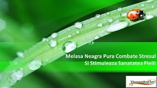 Melasa Neagra Pura Combate Stresul Si Stimuleaza Sanatatea Pielii Vivasan/ Vivasan Romania(Melasa Neagra Pura Combate Stresul Si Stimuleaza Sanatatea Pielii Vivasan /Vivasan Romania Afla mai ..., 2016-08-17T07:37:28.000Z)