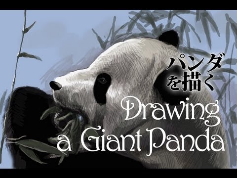 パンダの絵を描く Drawing A Giant Panda Youtube