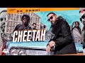 Cheetah song  sk sodhi  latest punjabi songs 2023  tseries