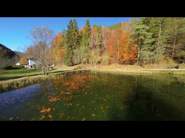 DJI Avata 2 - 29.10.2025 Ein wunderschöner Herbsttag nach dem Regen. 🍁