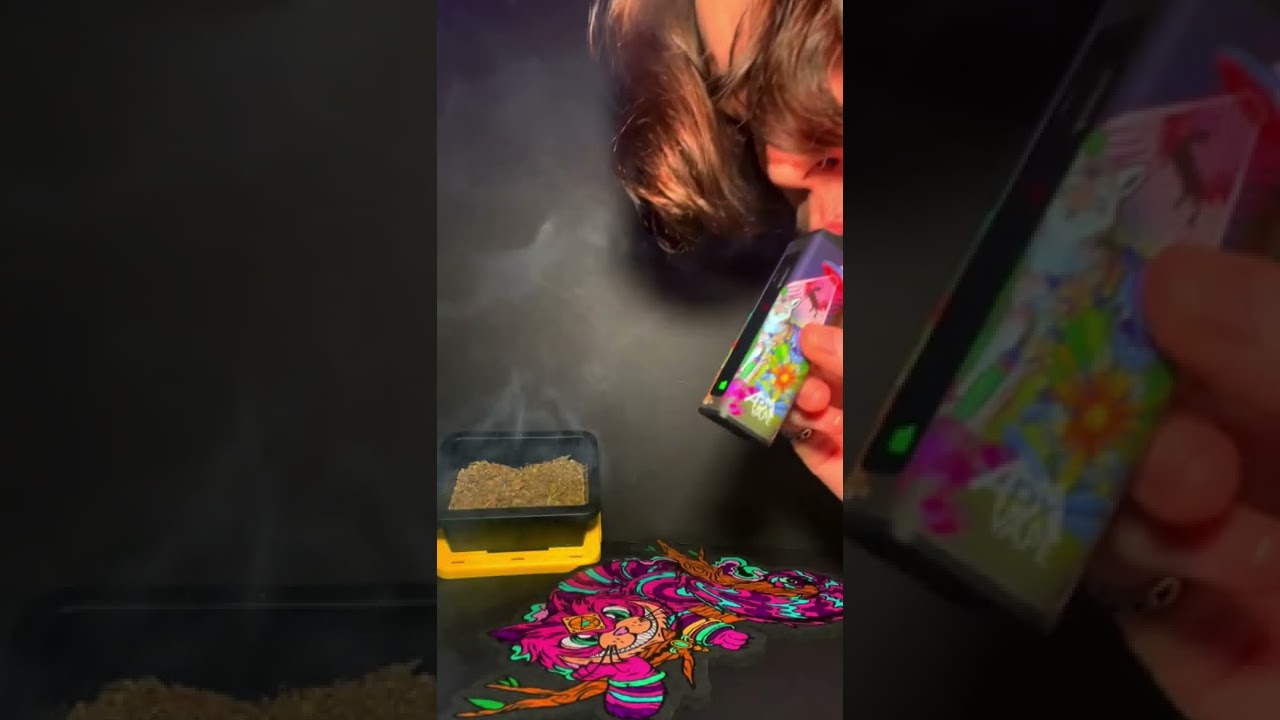 APX Vape Dry Herb Vaporizer Review 