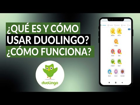 ¿Qué es y cómo usar DUOLINGO? Cómo funcionan los cursos Duolingo