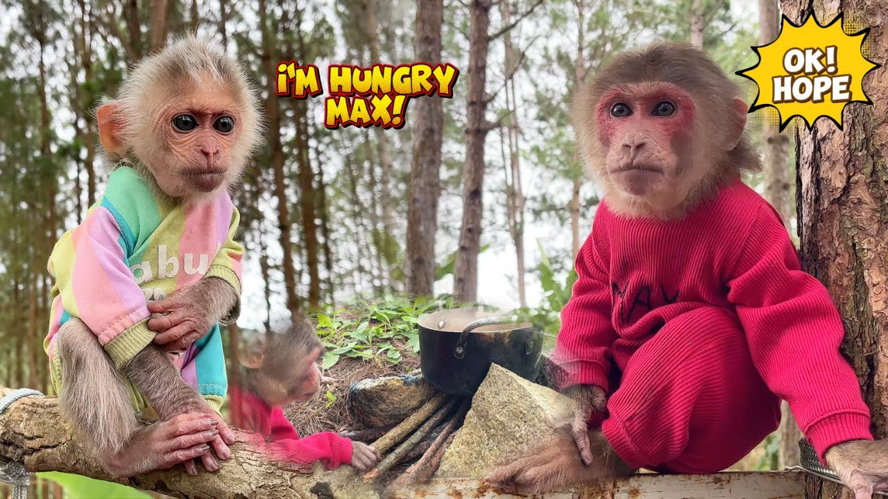 Невероятно! Макс спешил приготовить уникальную лапшу в поддержку фонда Hope In The Forest!