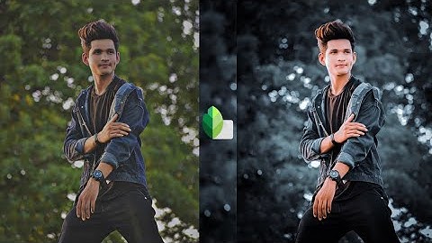 Snapseed Dark And Grey Effect Photo Editing Tutorial | Snapseed Background Colour Change Tricks 2023