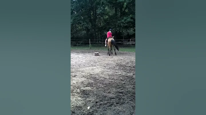 The transformation of Autumn. Donnas first ride