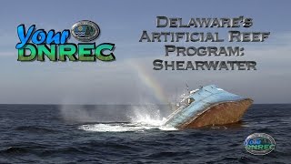 Delaware's Artificial Reef Program: Shearwater