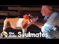 Pig Loves To Launch Himself Onto His Dad's Lap | The Dodo Soulmates