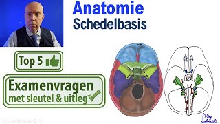 Schedelbasis (Anatomie-Schedel): Uitleg Top 5 examen vragen