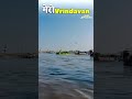 Mero Vrindavan Happy New year 2026😍 #viral #shorts #explore #2026 #vrindavan