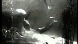 Tarzan And Jane  Banned Swimming Scene