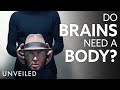 Exploring the Mind-Body Connection
