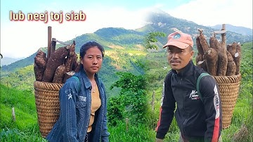 khawb qo los pub baus 1-06-2021