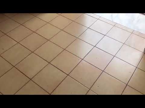 Fugaclean chogan | Acquisti Online su eBay