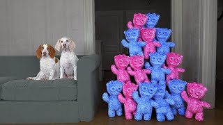 Dogs vs Giant Sour Patch Kids Army Prank! Funny Dogs Surprised by Giant Gummy Candy