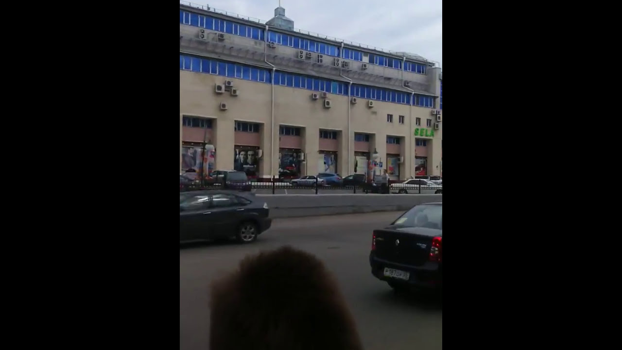 ⁣Баран на дороге в центре Омска