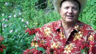 Flower Bulb Fundraiser