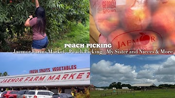 PEACH PICKING 🍑