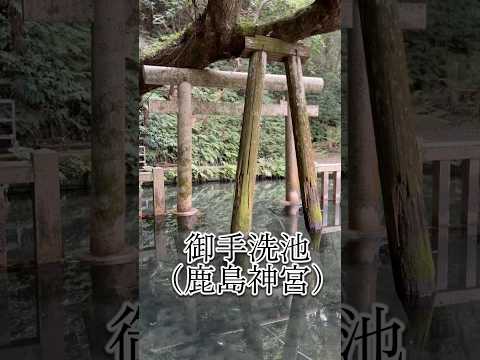 御手洗池（鹿島神宮）　#神社  #旅行  #鹿島神宮 #観光 #パワースポット #スピリチュアル #開運