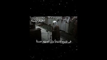 سورة النساء لفضيلة الشيخ ياسر الدوسري #ياسر_الدوسري #صلوا_على_النبي #قران_كريم #قرآن