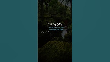 وما تقدموا لأنفسكم من خير تجدوه عند الله [ البقرة: 110] #fyp #foryou #foryoupageمشارى #تلاوة