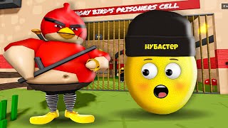 ПОБЕГ ОТ ЗЛОЙ ПТИЧКИ ЭНГРИ БЕРДС БАРРИ в ROBLOX!