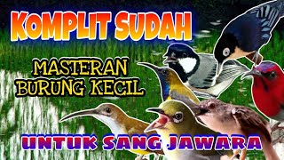 MASTERAN BURUNG KECIL kombinasi tembakan jeda 1 - 2 menit terapi suara air suara air