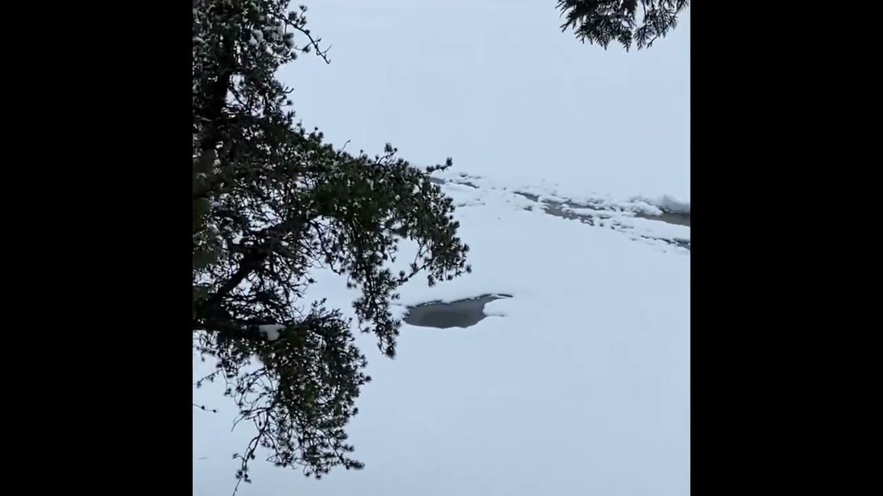 Jan 30, 2024 - Winter at Loch Island Lodge