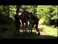 + Strayed. Военные фильмы