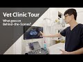 Virtual clinic tour with dr chow  atlas vet singapore