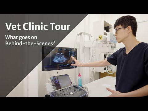 Virtual Clinic Tour (with Dr Chow) - Atlas Vet Singapore