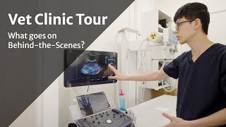 Virtual Clinic Tour (with Dr Chow) - Atlas Vet Singapore