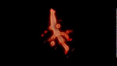 Glazier-Graner-Hogeweg Model