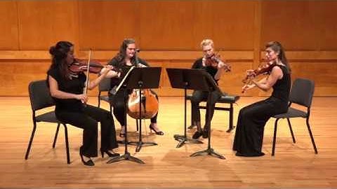 Schubert: String Quartet No.13 in A minor, D 804, Op 29 - Steinem String Quartet