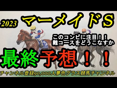 【最終予想】2023マーメイドステークス！本命馬と好調騎手のコンビに期待！ロングスパート力を見せて欲しい！