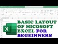 Basic Microsoft Excel Layout For Beginners | How To Use Microsoft Excel Spreadsheet, Ribbon & Layout