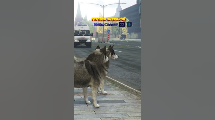 СОБАКИ НАПАЛИ НА ДПС (ПОСАДИЛИ В ТЮРЬМУ) @MikeSolist в ГТА 5 РП (GTA 5 RMRP / Криминальная Москва)