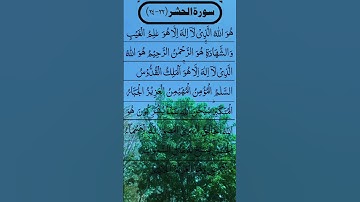 SURAH AL HASHR BEAUTIFUL VOICE 😍 سورة الحشر #egzonibrahimi #surahalhashr #alhashr #surahhashr