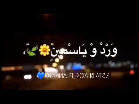 خـدنـي لـيـك ولـعيـنيـك ورد ويـاسـمين حالات واتس