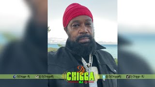 Rasta Rebel - Shield Up