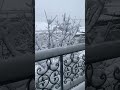 Такого снегопада в Алматы не было всю зиму. #снегопад