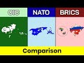 OIC vs NATO vs BRICS  BRICS  NATO  OIC  Comparison  Nato vs Brics vs Oic  Data Duck 2o