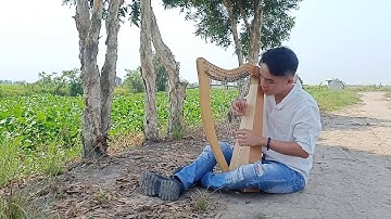 #02 Scarborough Fair - harp 19 strings