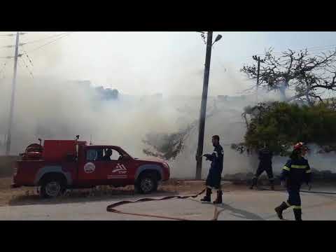 Φωτιά ξέσπασε στο Χέρωμα της Βάρης από βραχυκύκλωμα σε κολόνα της ΔΕΗ

21/08/2017